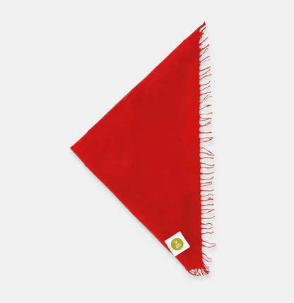 Cashmerebandana mit Fransen - lipstick