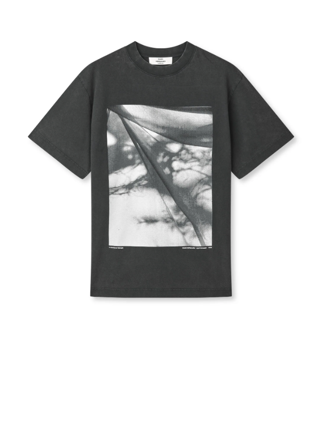 Cotton Jersey Dassel Tee - black